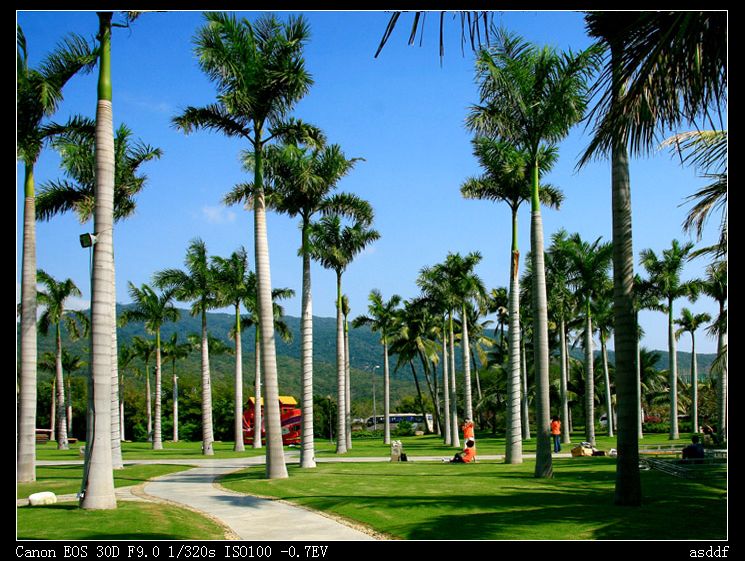 <b>重庆到海南旅游|银河经典游2+2,情迷小月湾</b>