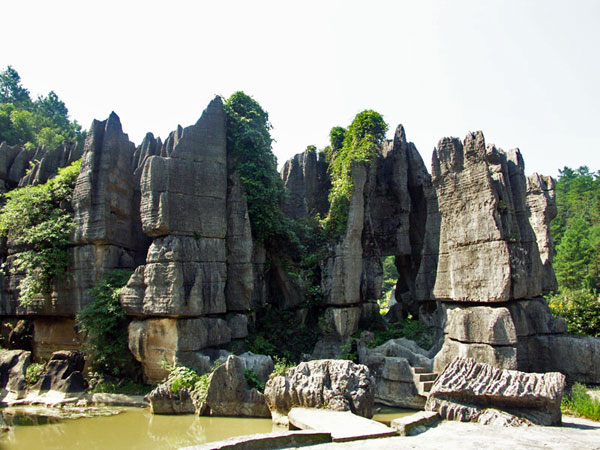 重庆旅游攻略——石林春游一日游(4A级风景区_重