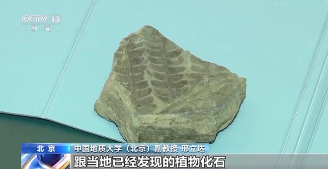 北京门头沟发现亚洲首例侏罗纪中期两栖动物足迹化石