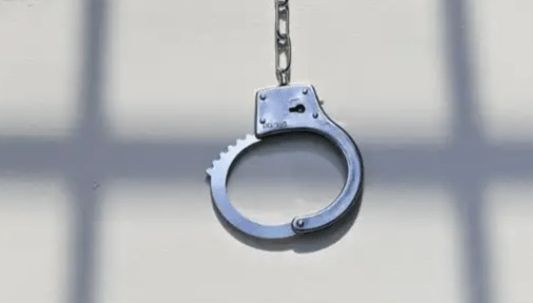 南京一黑恶势力长期脱离侦控 公安分局局长系＂保护伞＂